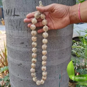 Big Tulsi Beads Japa Mala